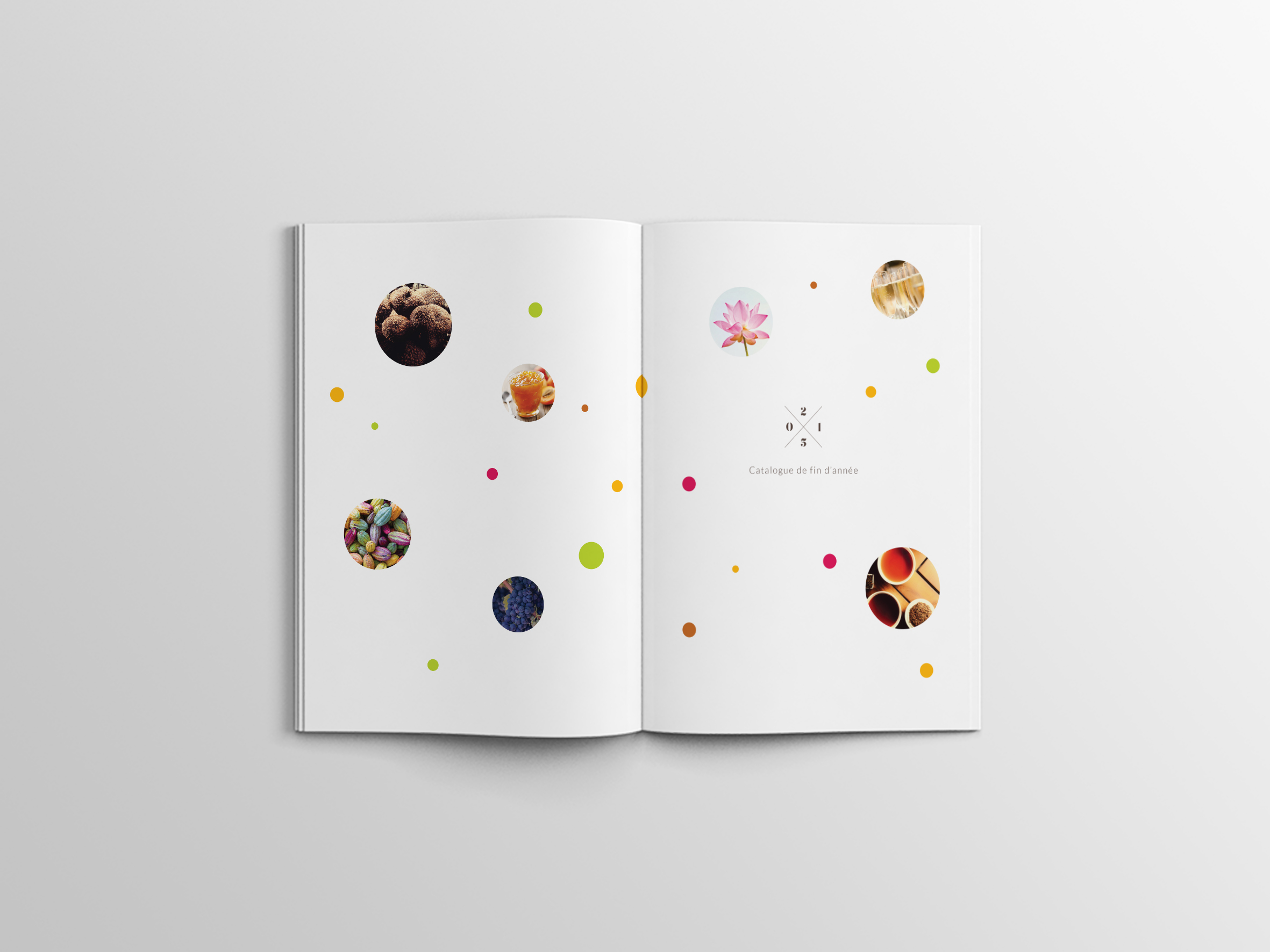 Rabot-Catalogue-Brochure-02